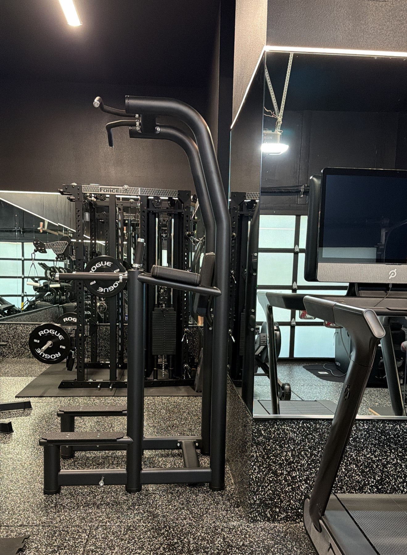The Dynasty Fitness