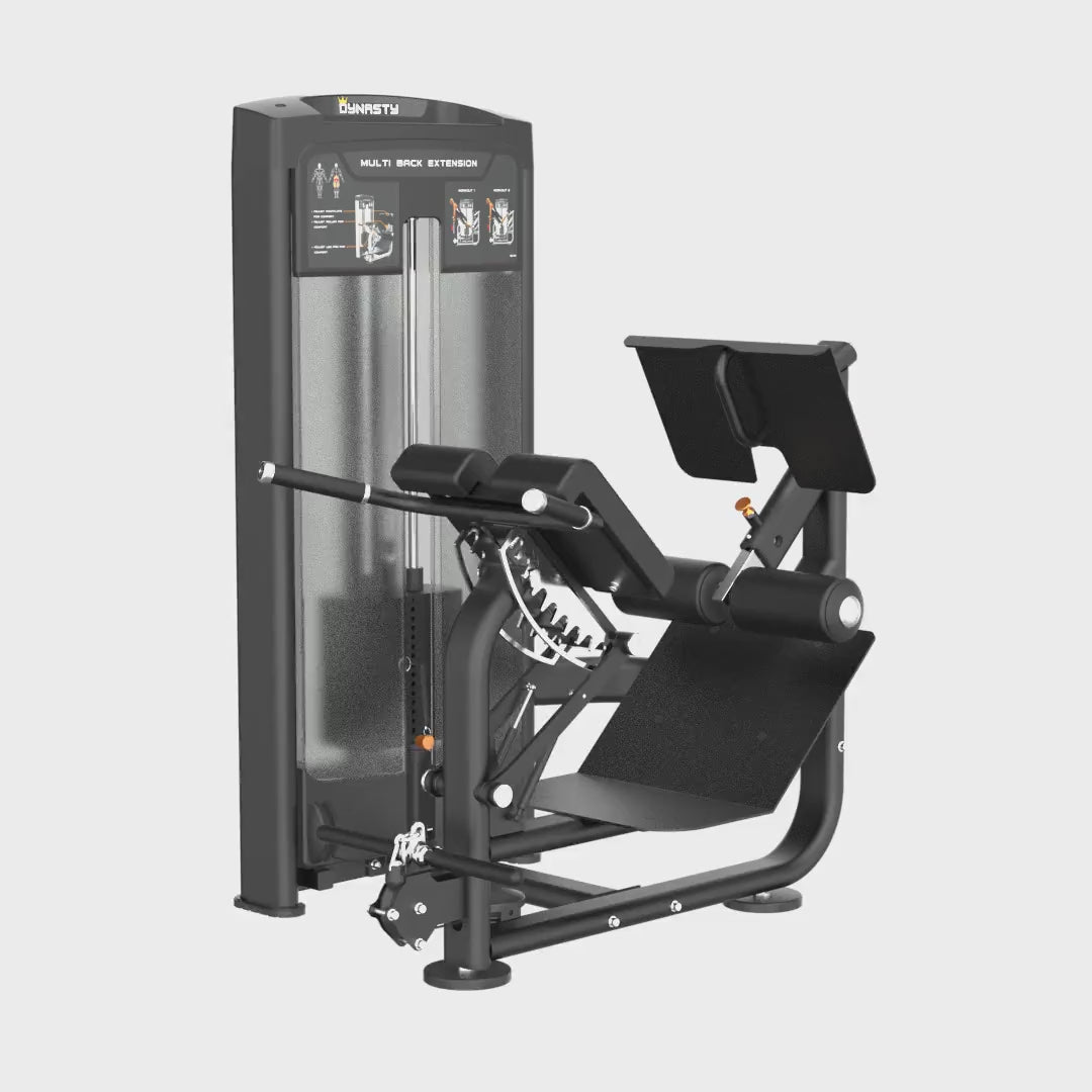 Multi Back Extension Machine - Commercial | Dynasty Fitness – The