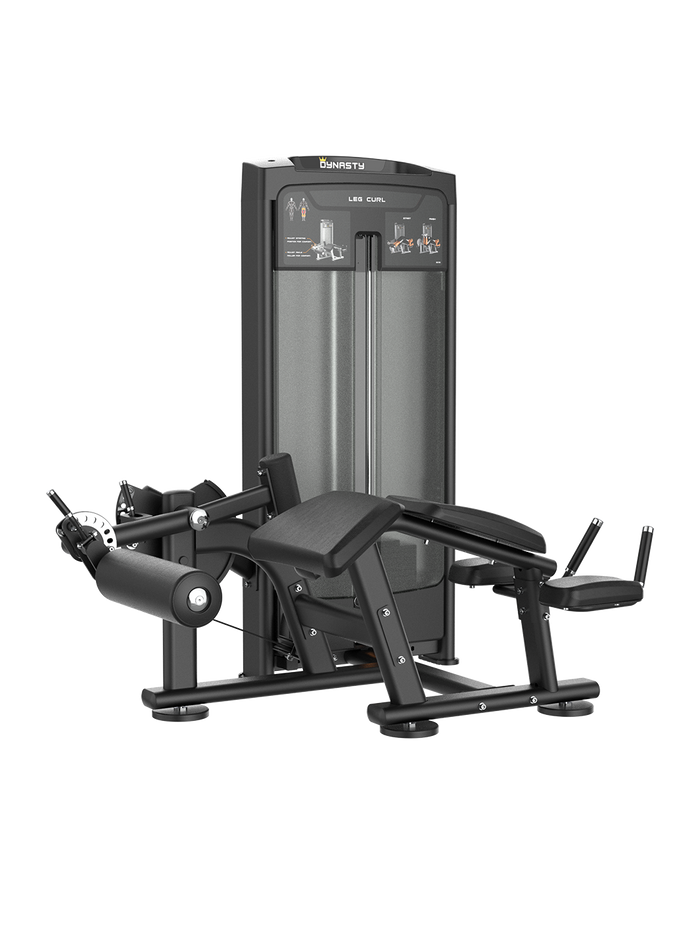 Commercial Hamstring Machines And Glute Ham Developers – The Dynasty ...