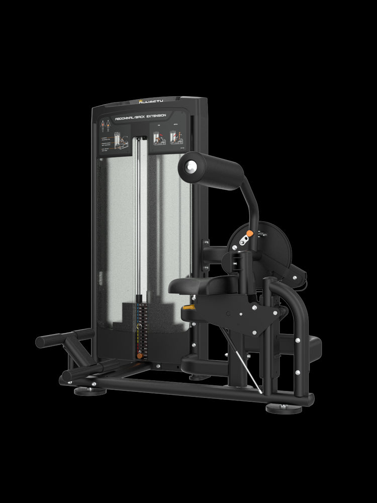 Abdominal/Back Extension Machine