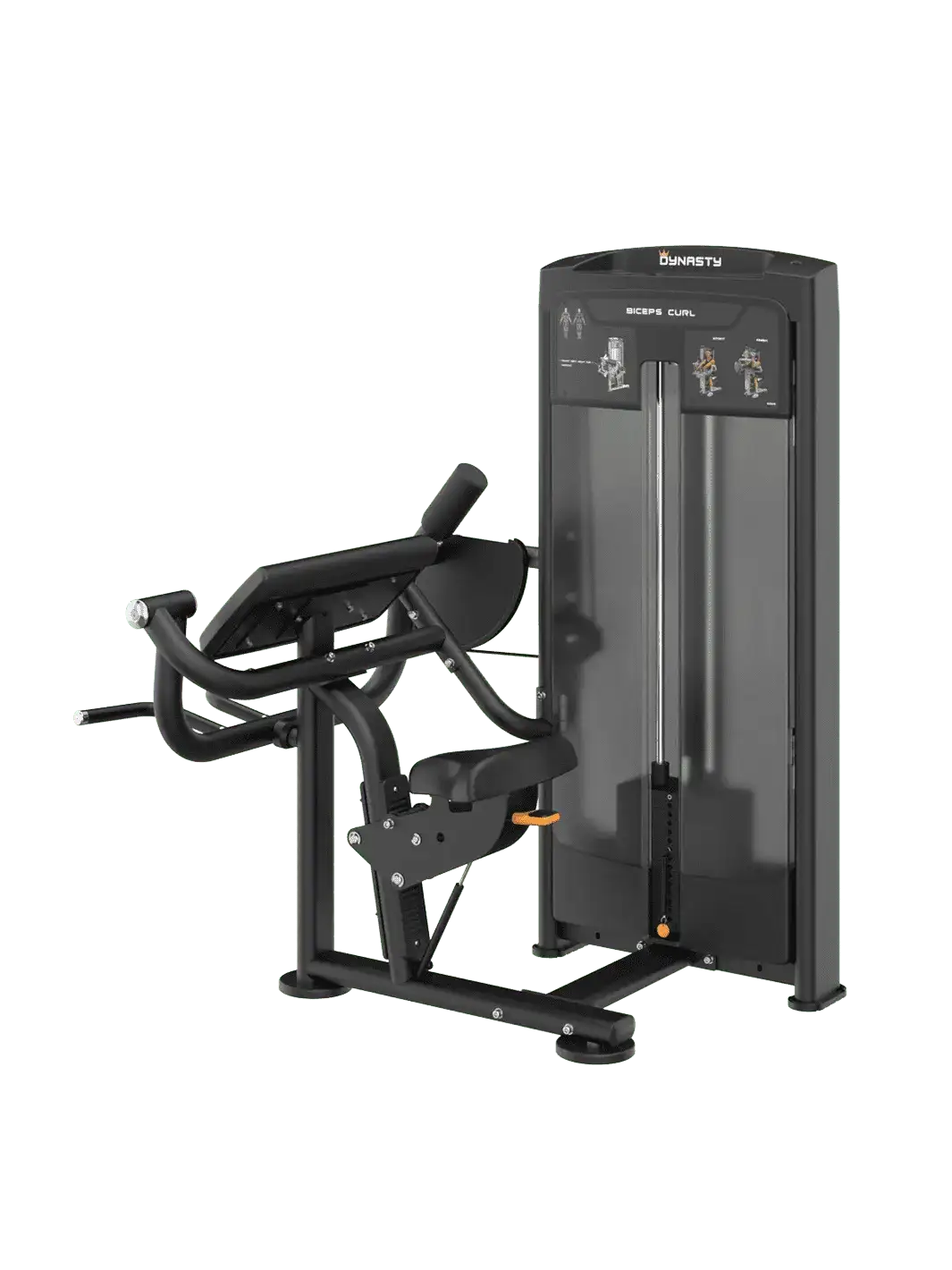 Biceps Curl DRE8006