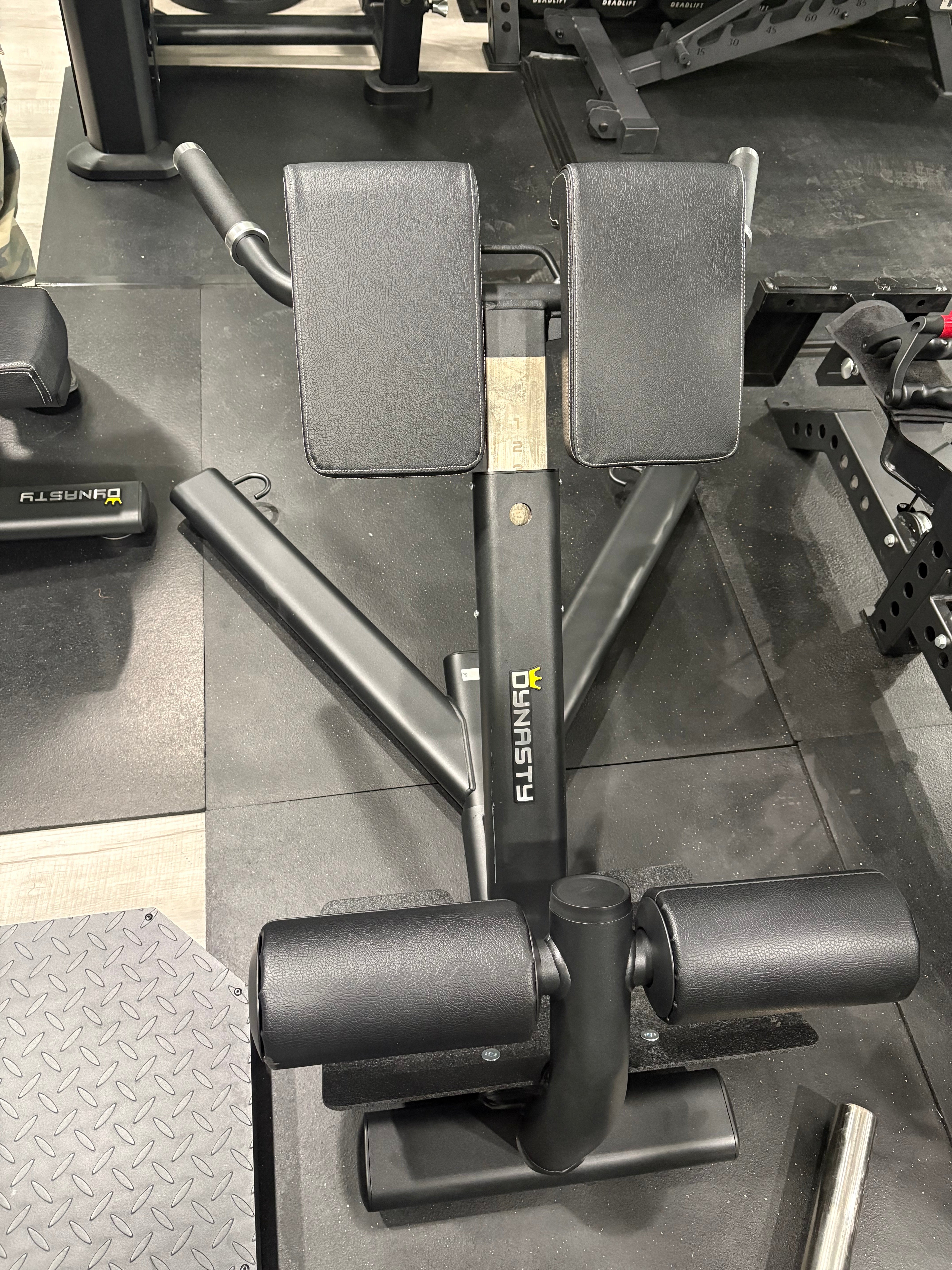 45° Hyperextension Bench - Back Extension | Dynasty Fitness – The