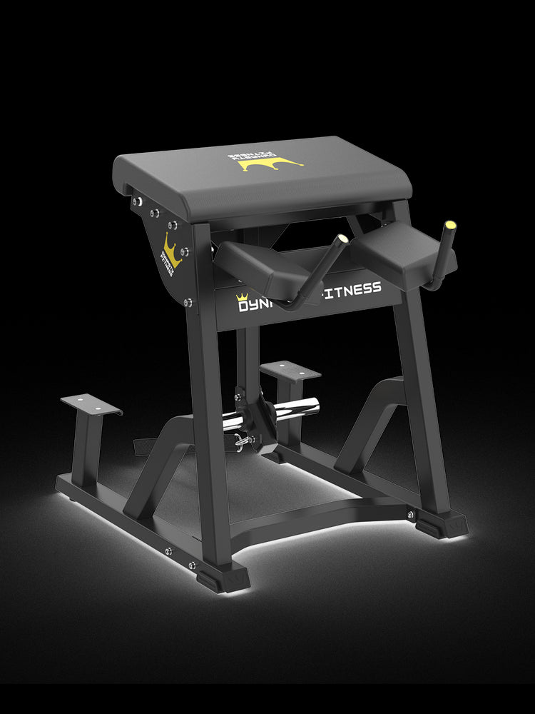 Dynasty Fitness DPB407 Reverse Hyper – Compact, stable glute trainer.