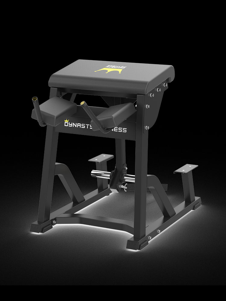 Dynasty Fitness DPB407 Reverse Hyper – Compact, stable glute trainer.