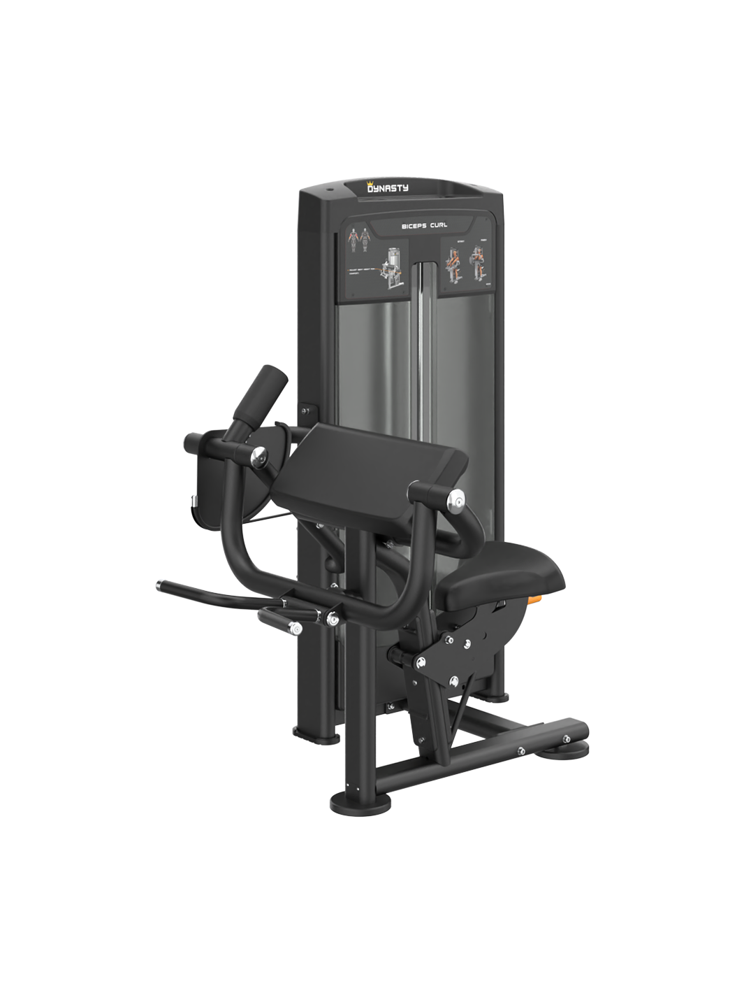 Biceps Curl DRE8006