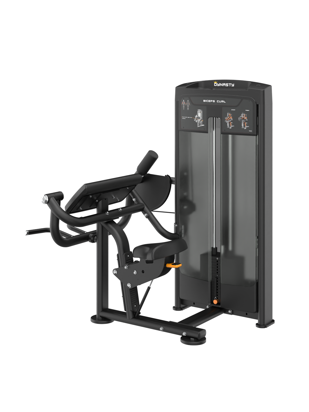 Biceps Curl DRE8006
