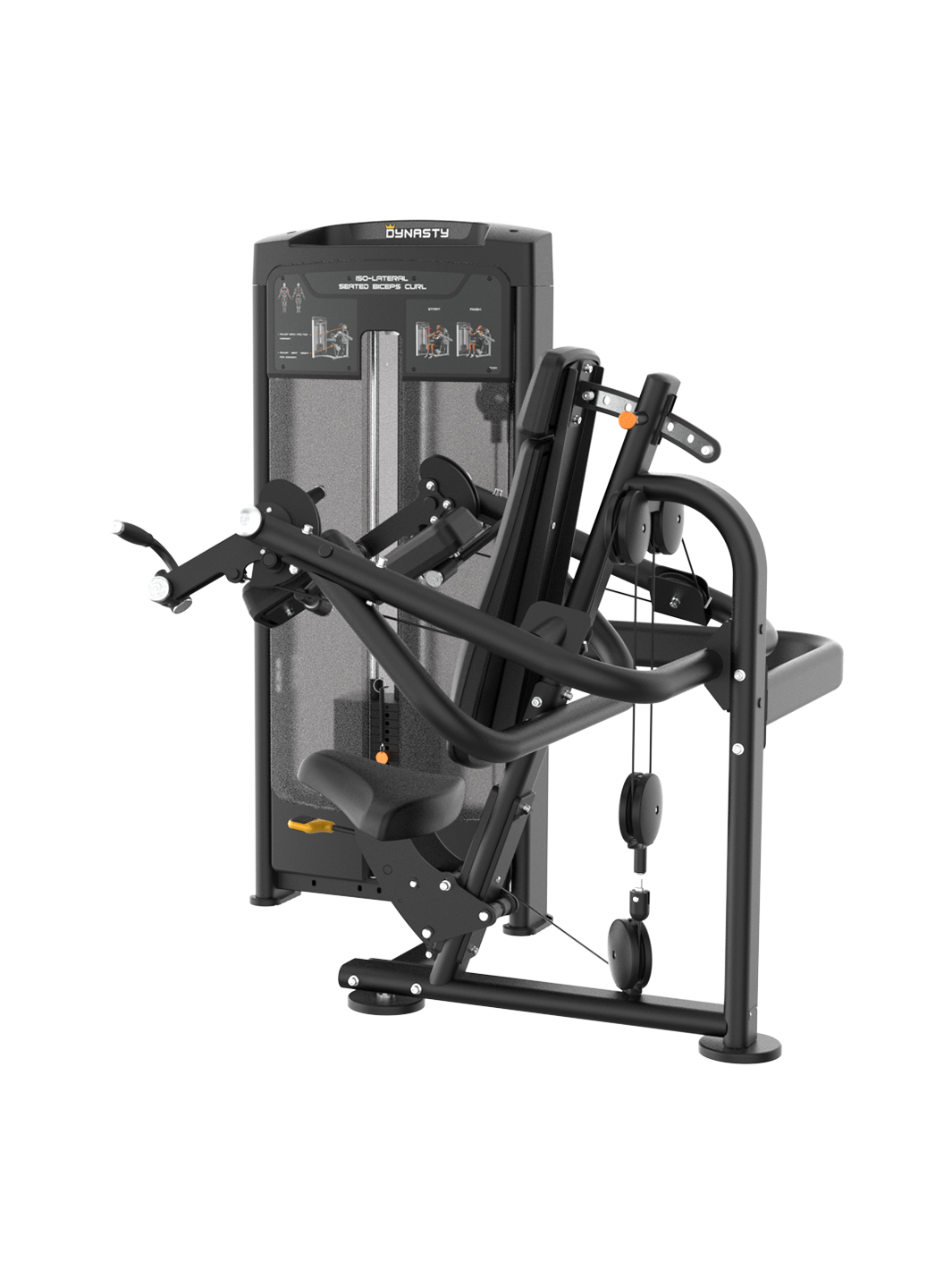 ISO-Lateral Seated Biceps Curl DRE8031