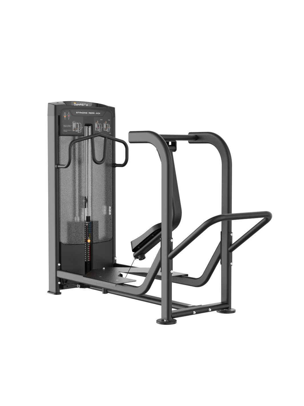 Standing Rear Kick DRE8032