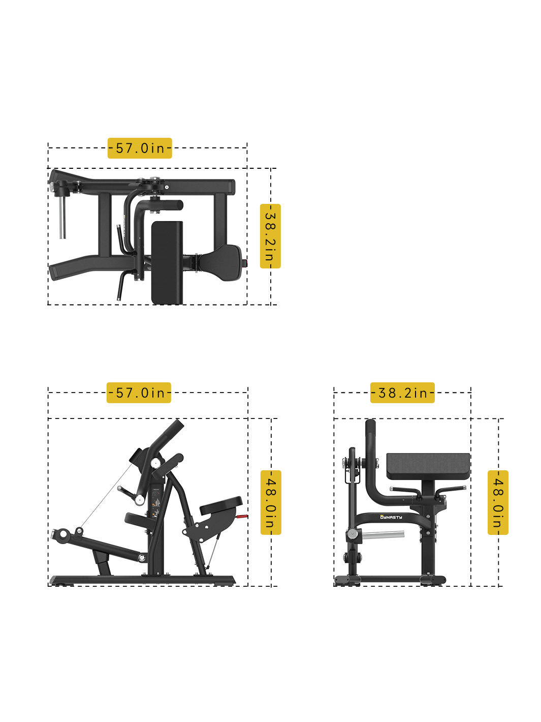 Seated Biceps Curl DSH018