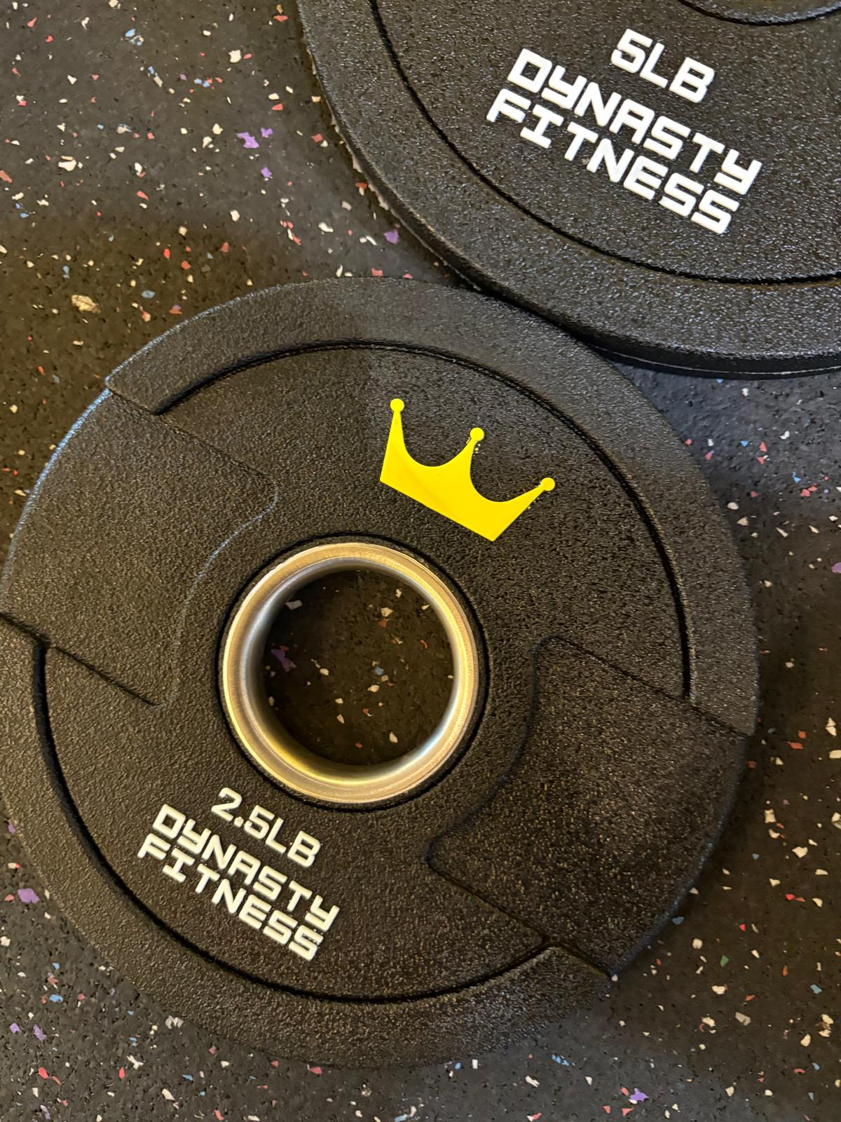 Dynasty Fitness Urethane Grip Plate Set 245lb DUGP