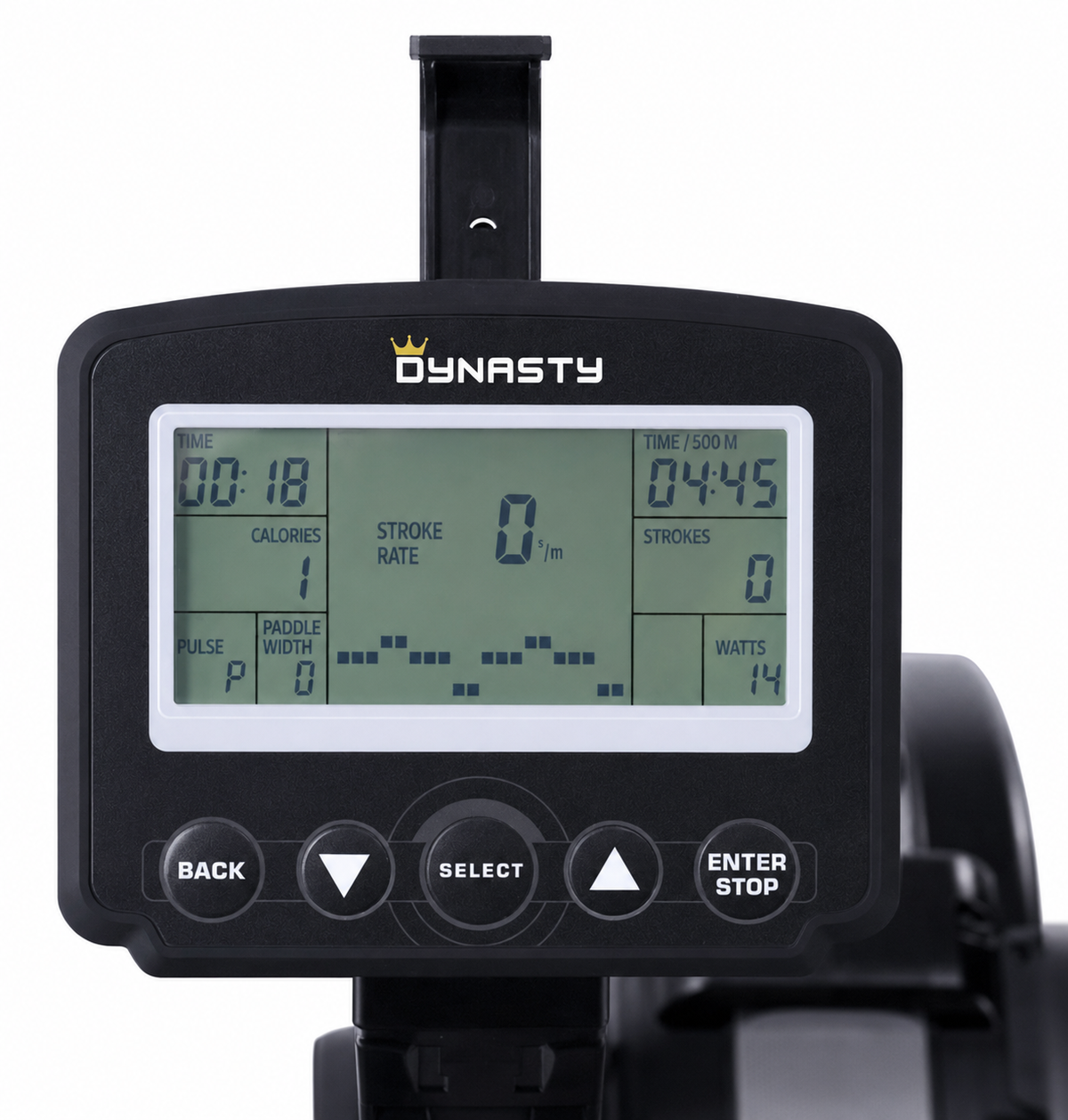 Dynasty Rower