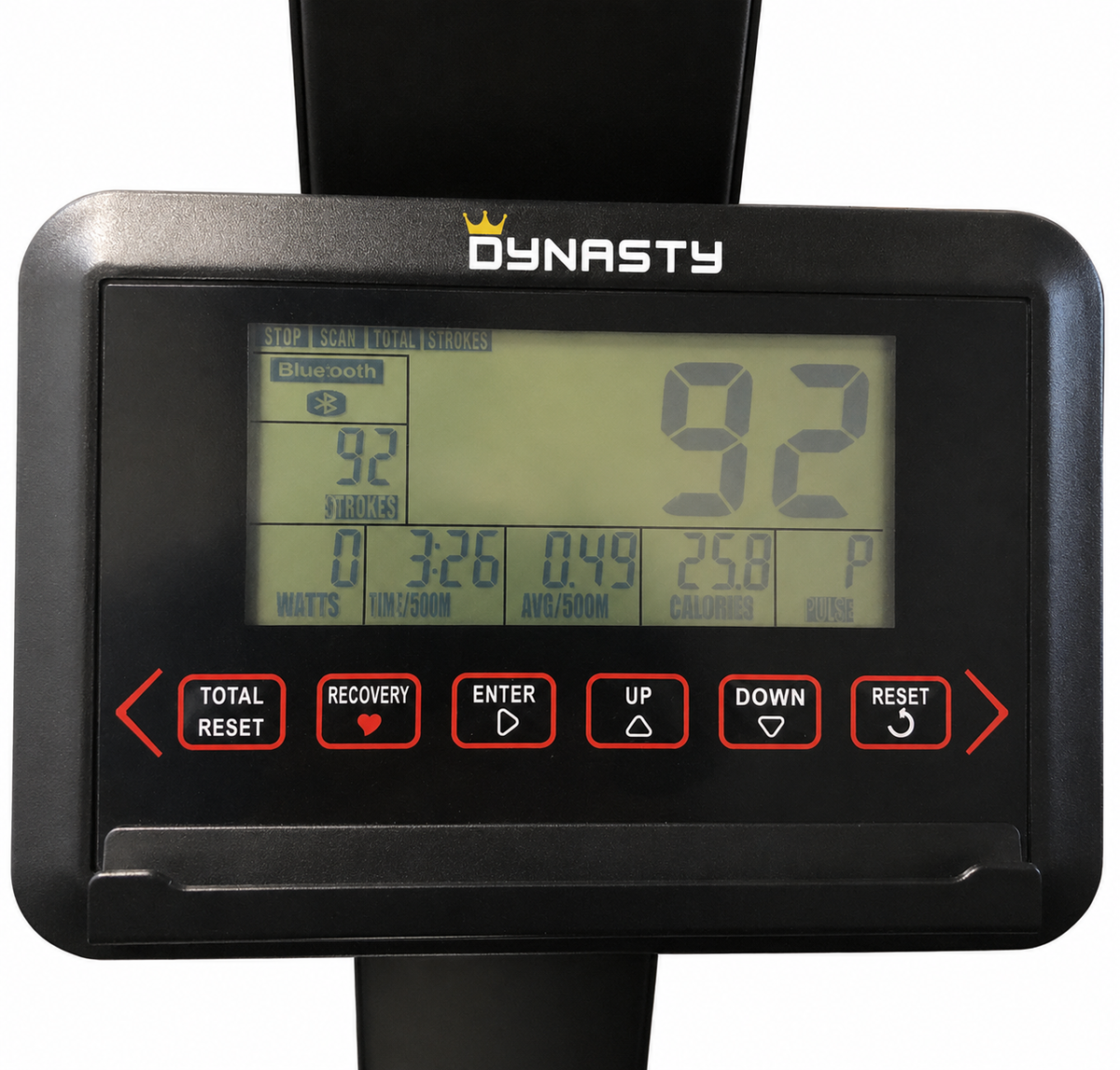 Dynasty Ski Trainer