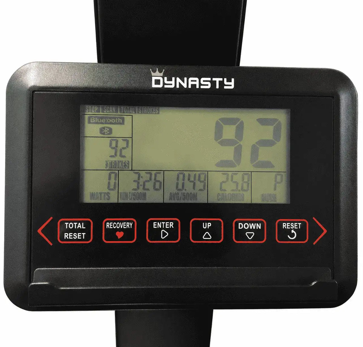 Dynasty Ski Trainer