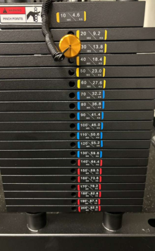 The Dynasty Fitness