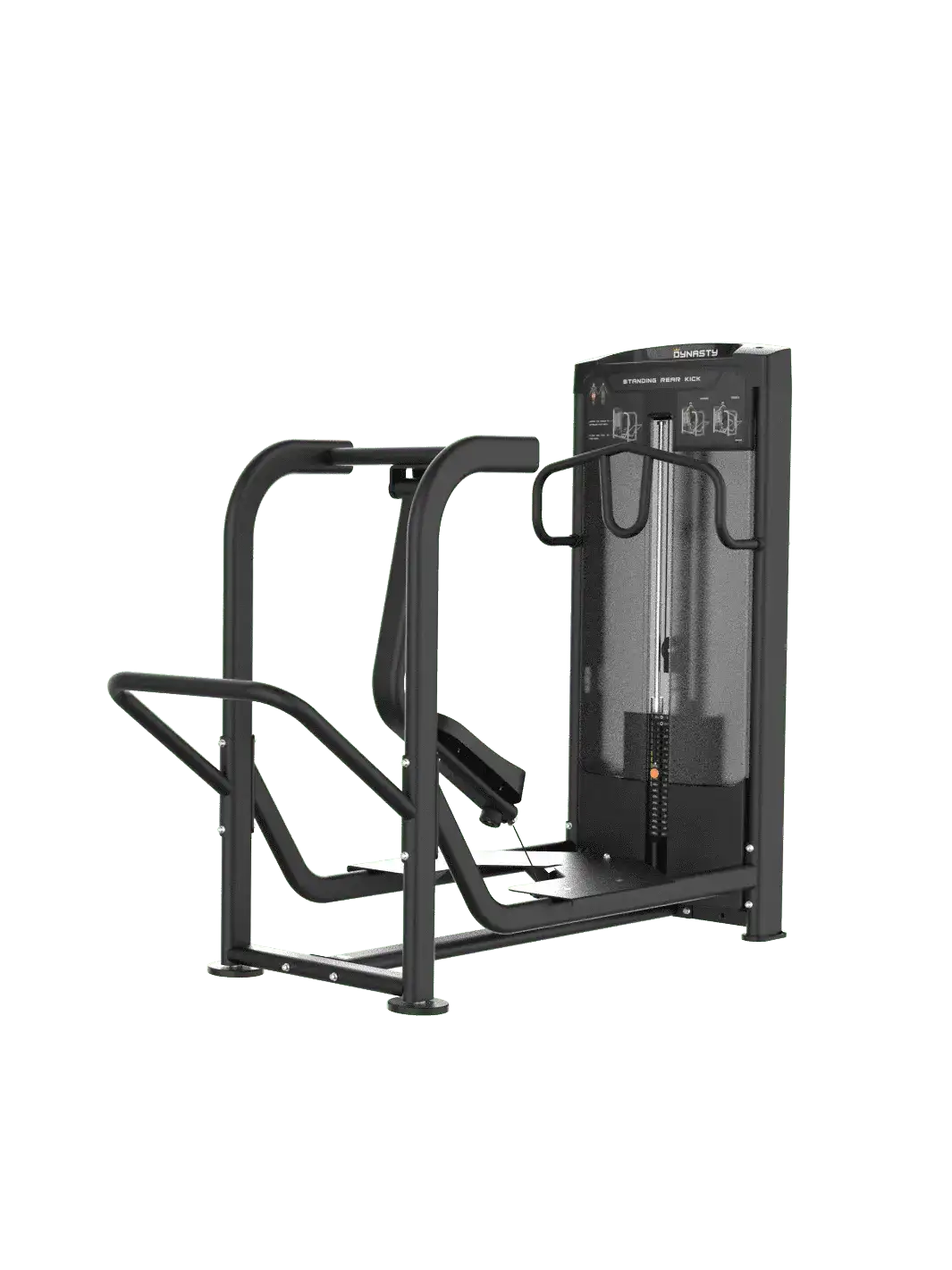 Standing Rear Kick DRE8032
