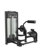 Abdominal/Back Extension