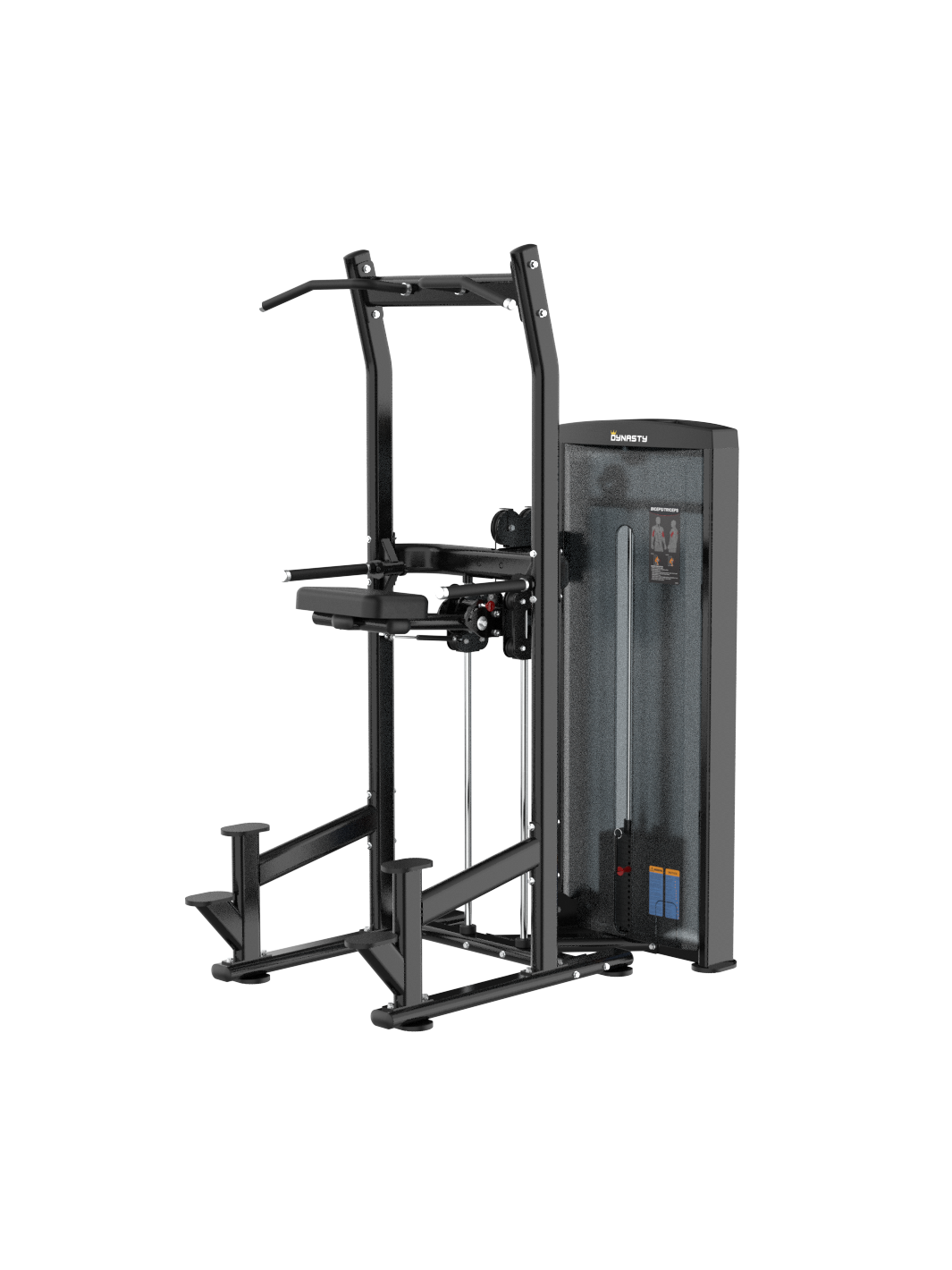 Assisted Chin Up/Dip Station DSA030