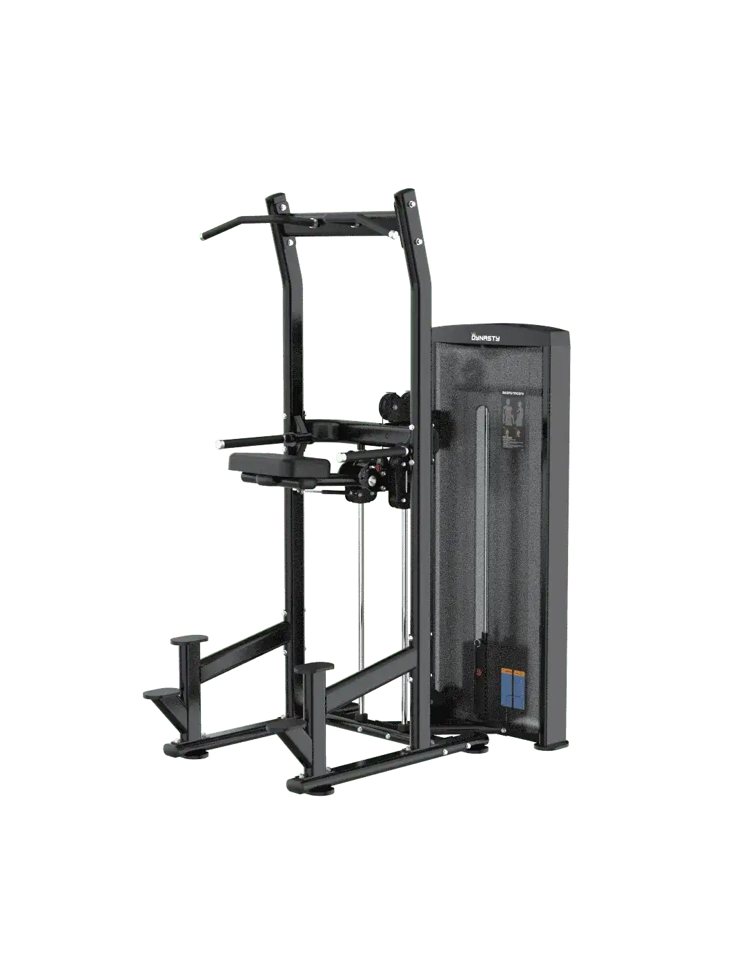 Assisted Chin Up/Dip Station DSA030