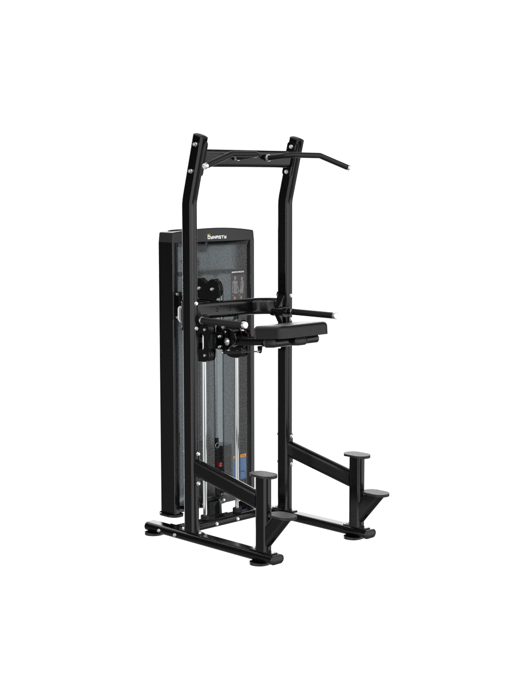 Assisted Chin Up/Dip Station DSA030