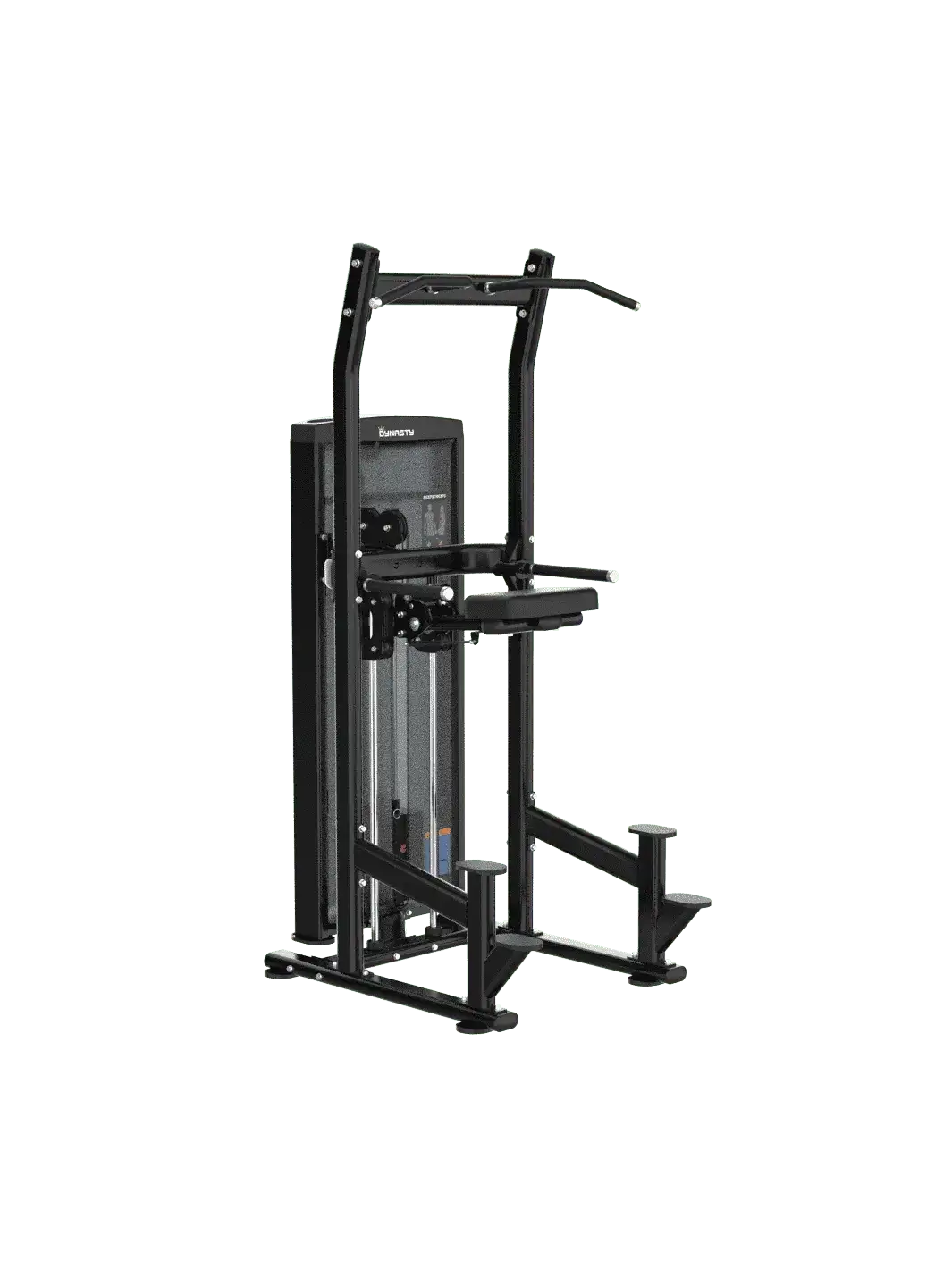 Assisted Chin Up/Dip Station DSA030