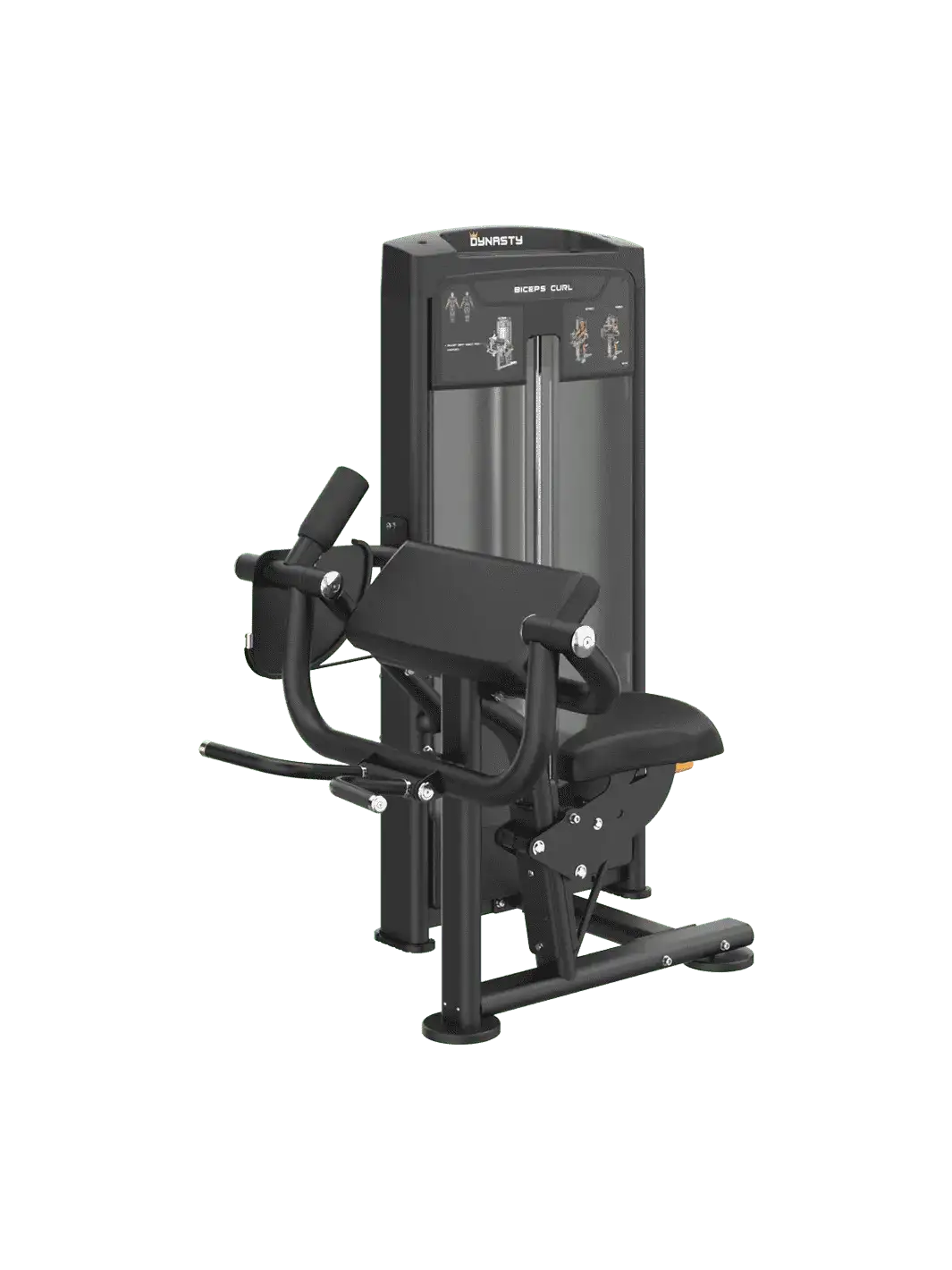 Biceps Curl DRE8006
