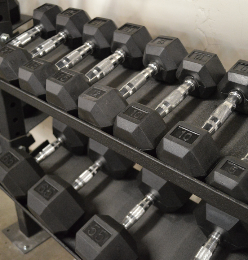 The Dynasty Fitness