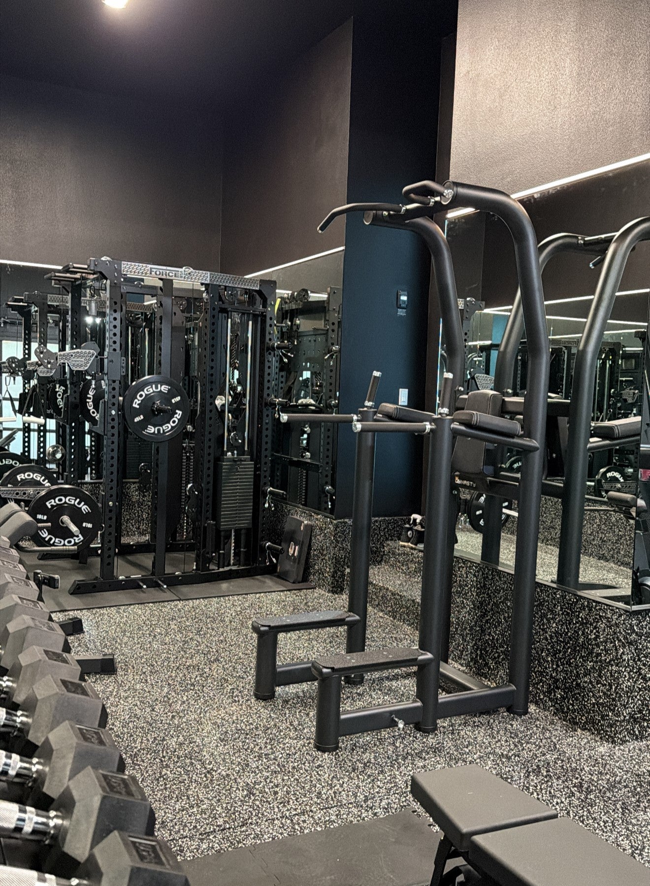 Multi Pull Up/Dip Rack DRE6008