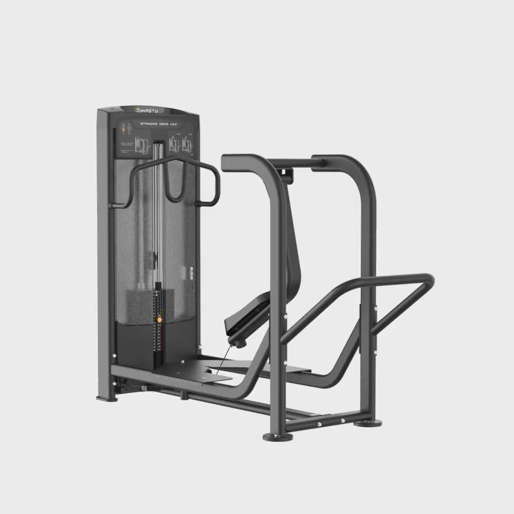 Load video: Standing Rear Kick DRE8032