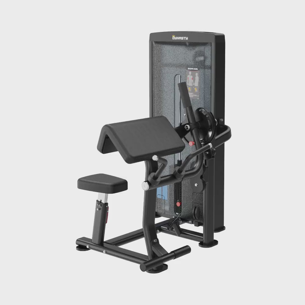 Load video: Seated Biceps Curl/Triceps Extension DSA044