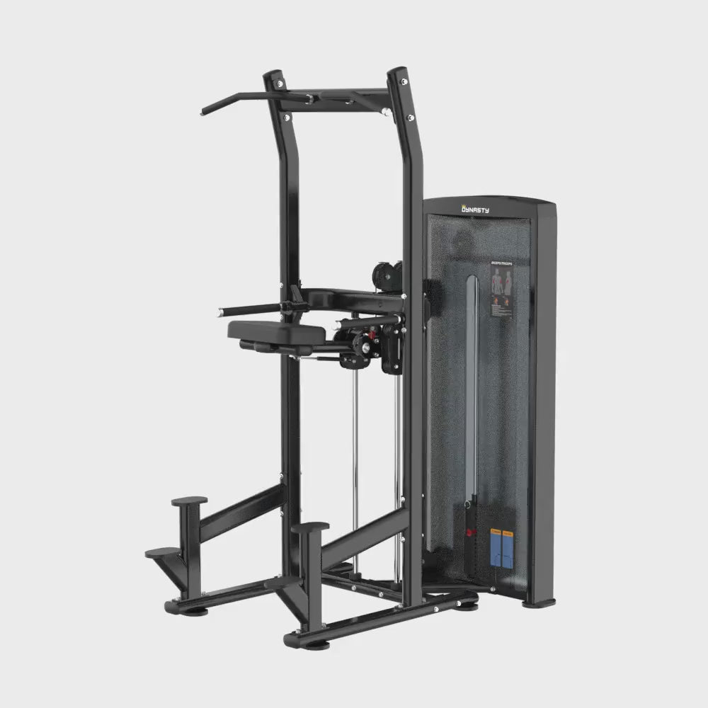 Load video: Assisted Chin Up/Dip Station DSA030