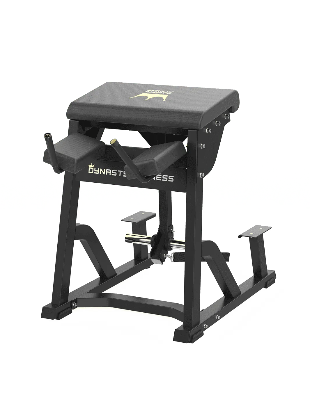 Dynasty Fitness DPB407 Reverse Hyper â€“ Compact, stable glute trainer.