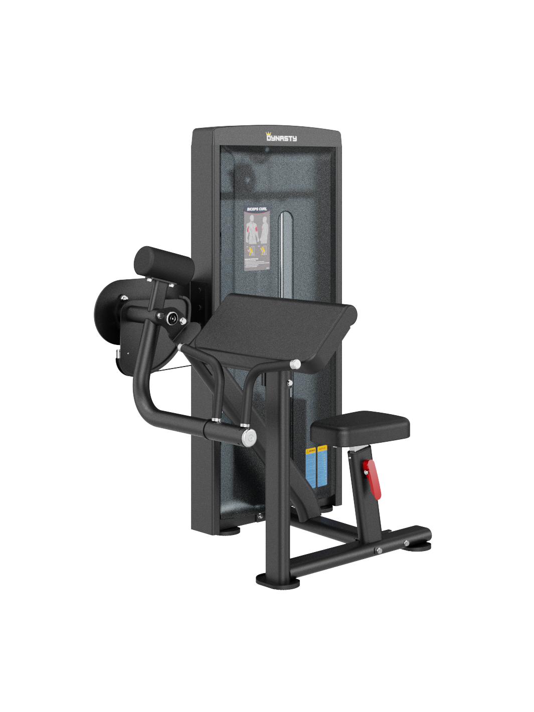 Seated Biceps Curl DSA006