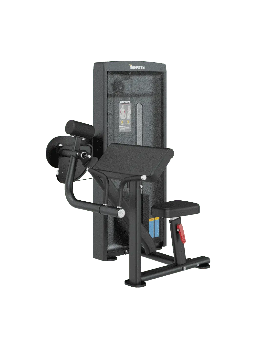 Seated Biceps Curl DSA006