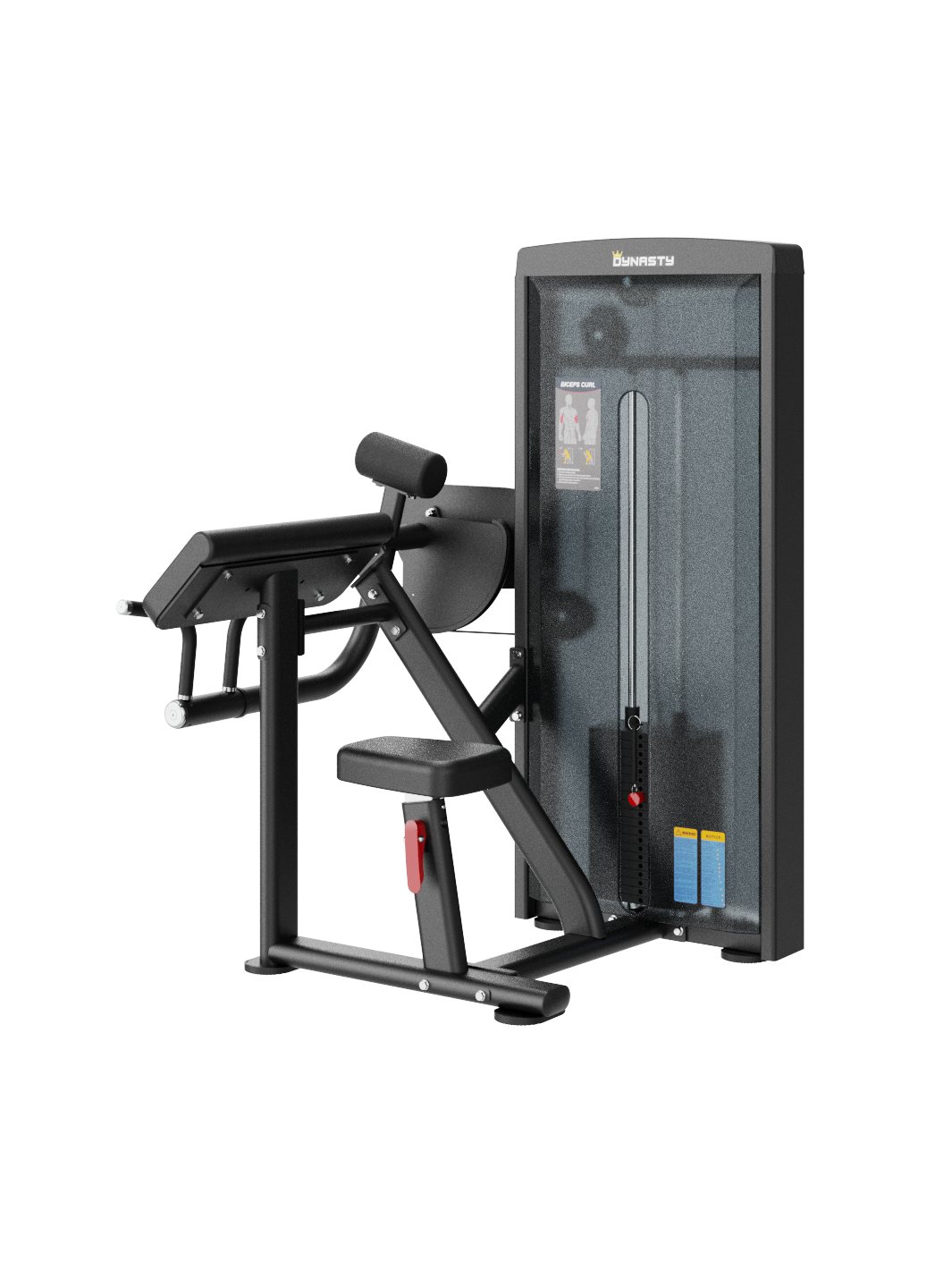 Seated Biceps Curl DSA006