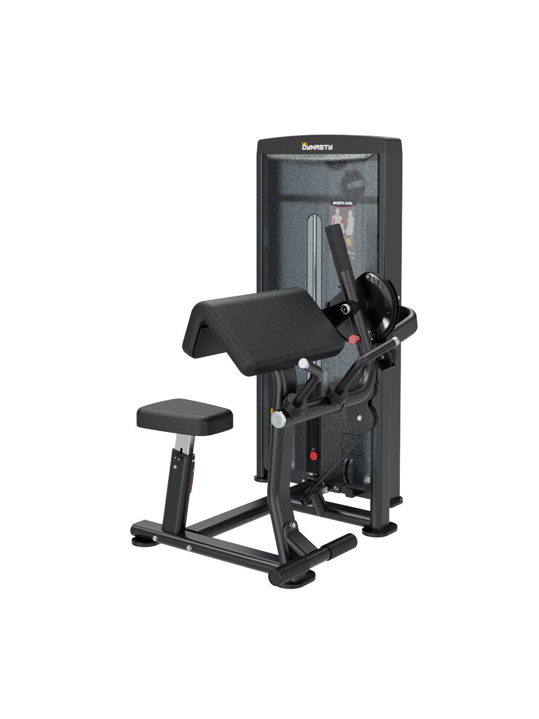 Seated Biceps Curl/Triceps Extension DSA044