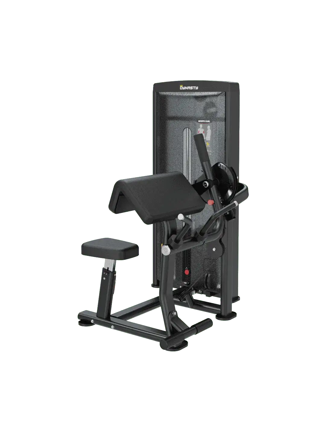 Seated Biceps Curl/Triceps Extension DSA044
