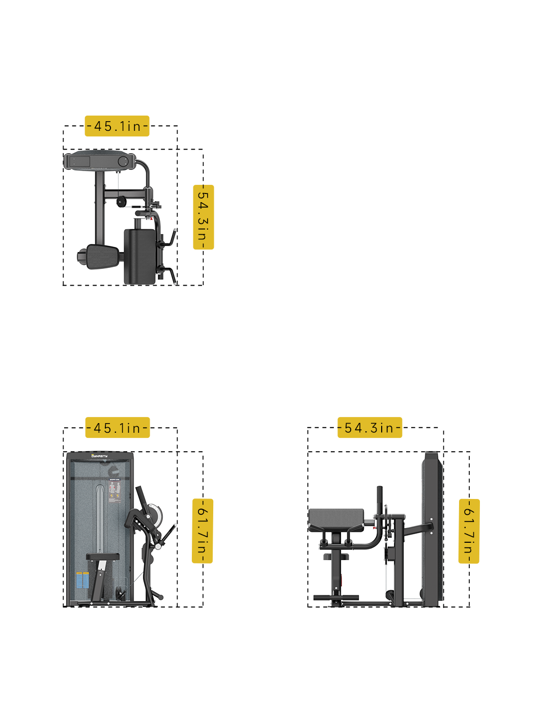 Seated Biceps Curl/Triceps Extension DSA044