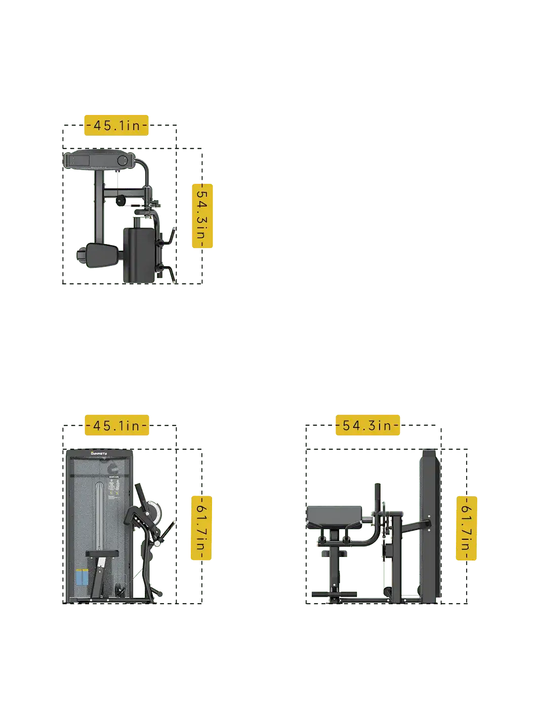 Seated Biceps Curl/Triceps Extension DSA044