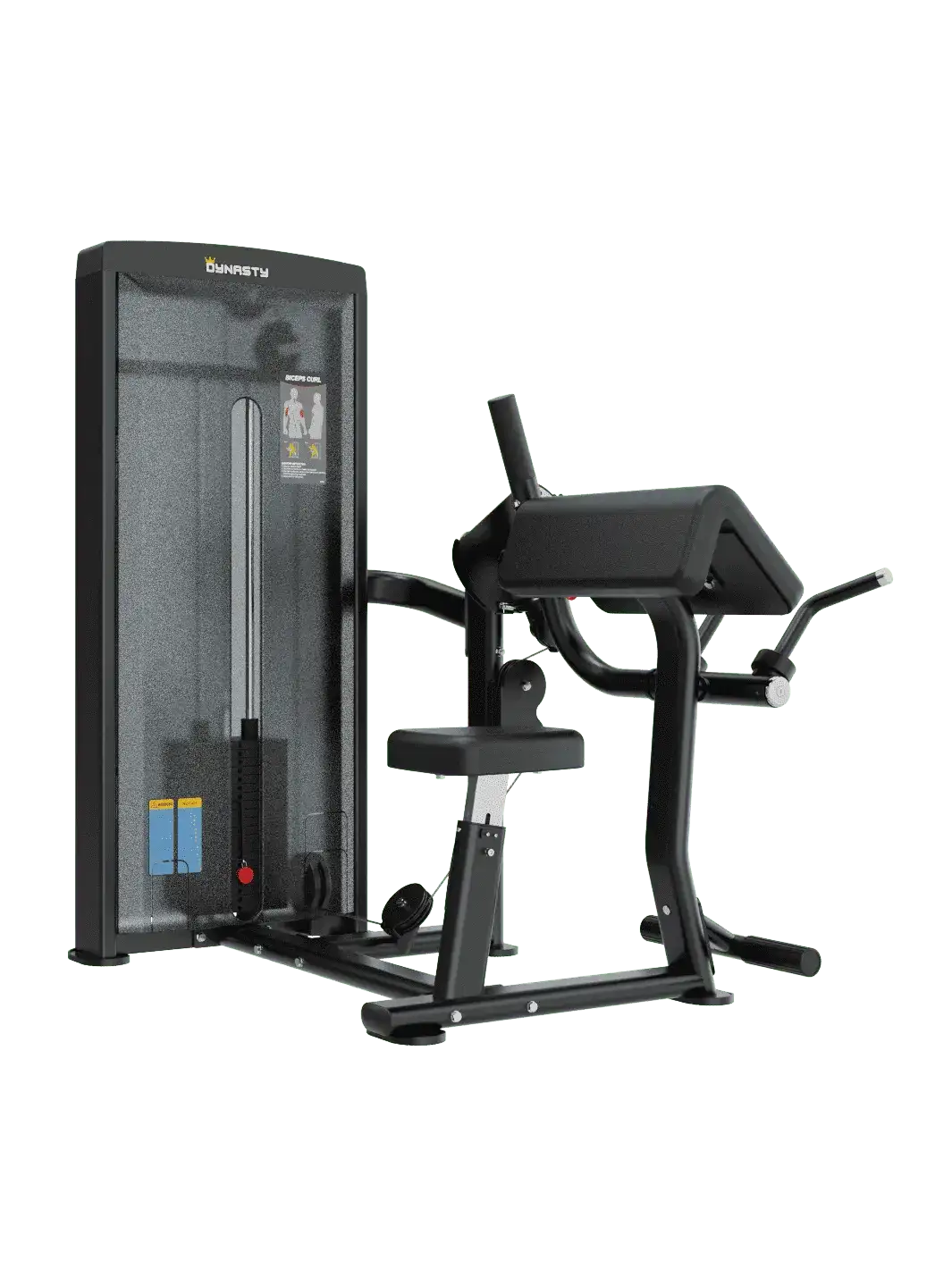 Seated Biceps Curl/Triceps Extension DSA044