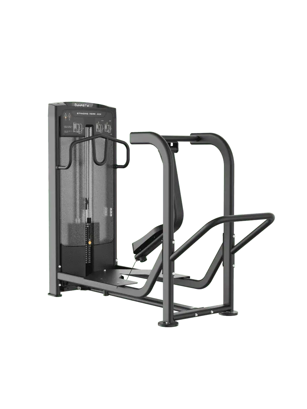 Standing Rear Kick DRE8032